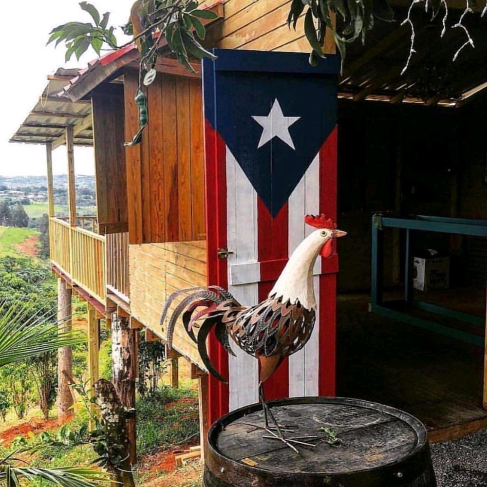 Meet your Posher, Ada